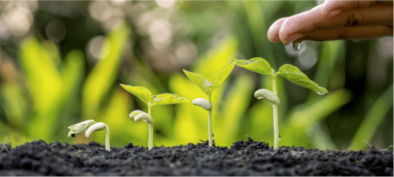 Recreating Ourselves, Recreating the World