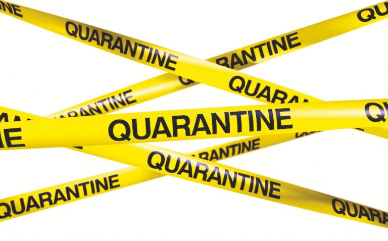 A Biblical Timeout – What Could Be The Meaning Of a Virus Forcing Millions Into a “Timeout” of Quarantine and Seclusion?