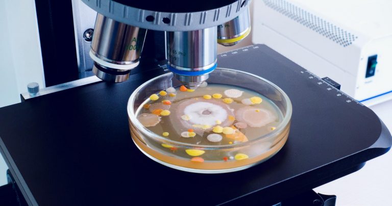 Torah Insights Into Bacteria and Infectious Diseases