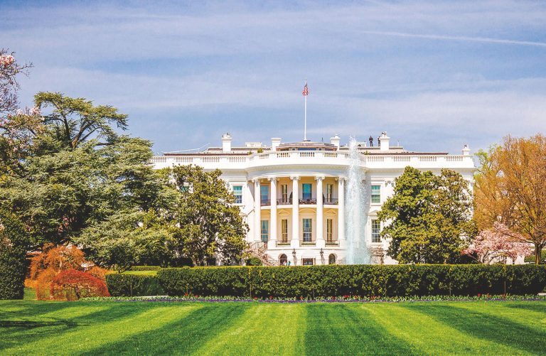 The Trump 2019 Report Card