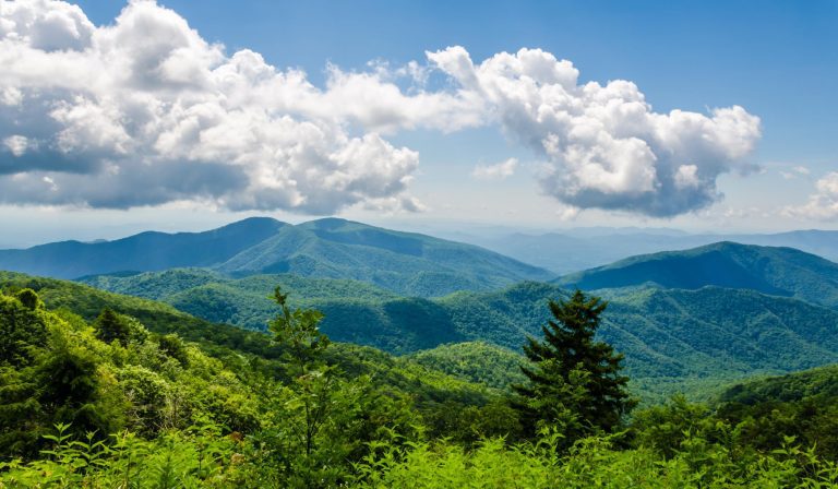 Thriving in a Time of Unknowing