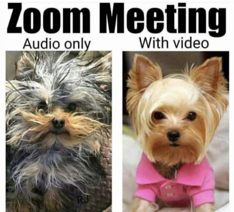 The Lighter Side – May 2020