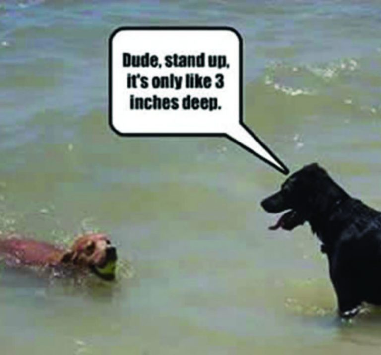 The Lighter Side – August 2021