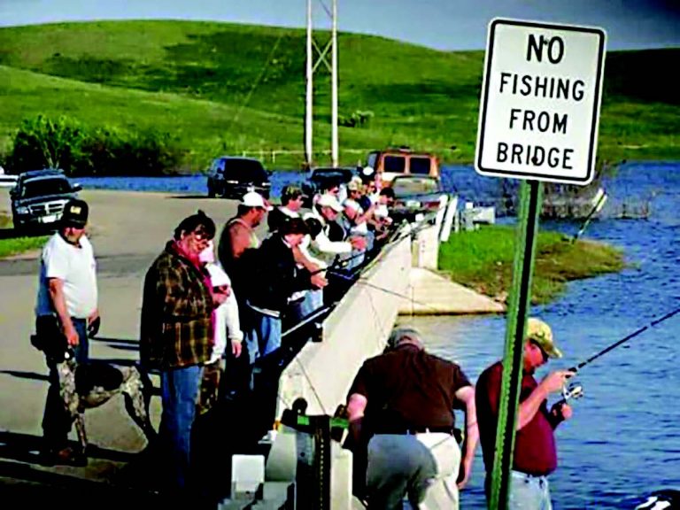 The Lighter Side – June 2021