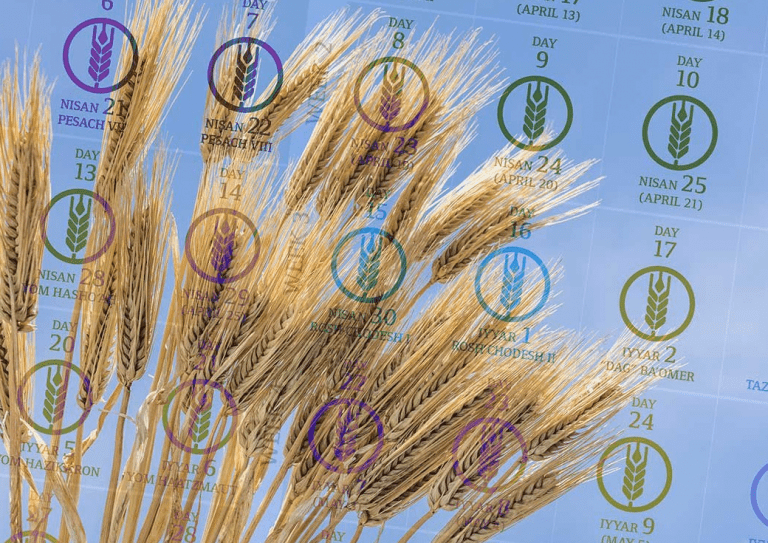Sefirat Ha’omer FAQ