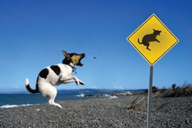 The Lighter Side – July 2022 The Lighter Side – July 2022