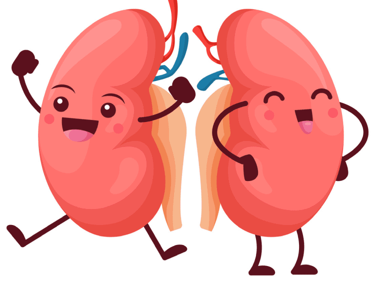 Living Kidney Donation