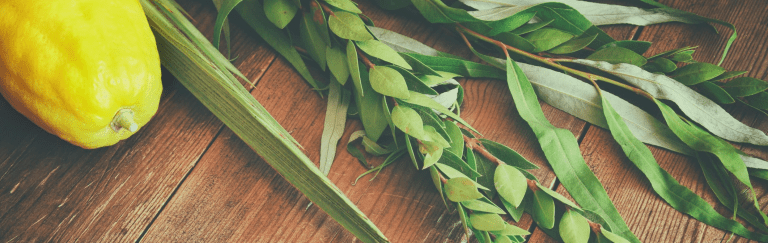 Hosha’na Rabba FAQ