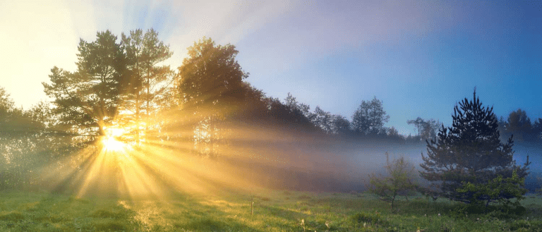Emotional Wellness – Like the Shining Sun 