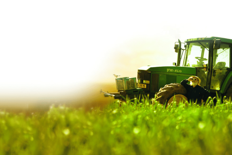 Making a Living – the Jewish Way