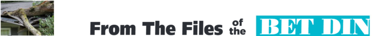 From the Files of the Bet Din