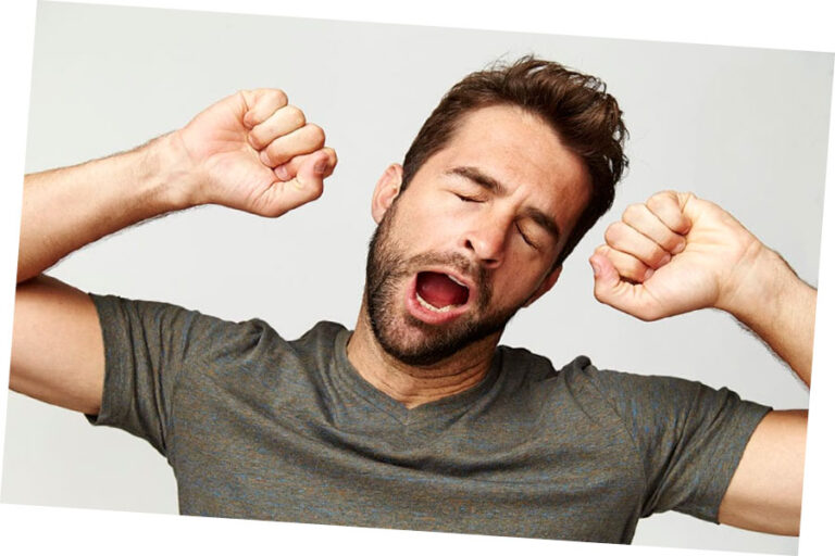 Exploring the Wonders of the Human Anatomy