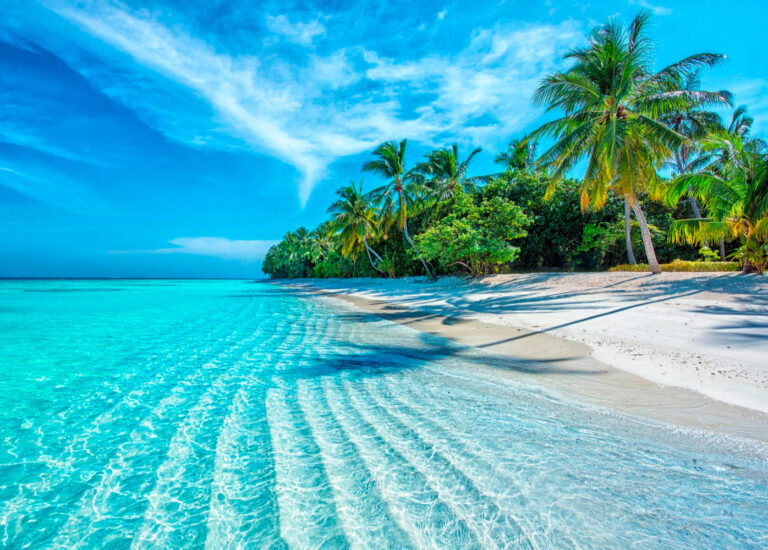 Community Pulse – Keeping Up with the Joneses: The Cost of Endless Comparison