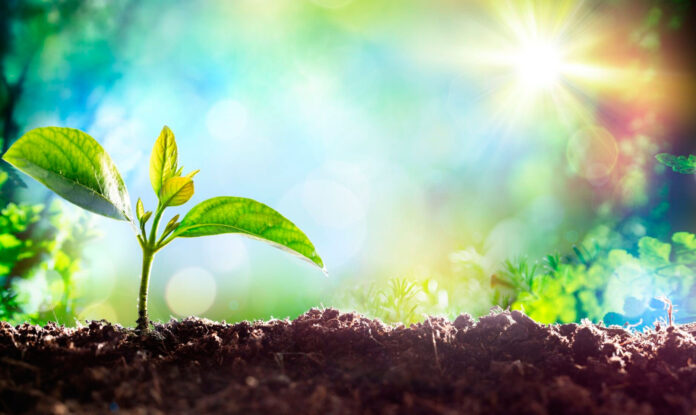 Tap-into-New-Beginnings
