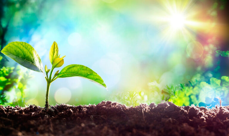 Tap into New Beginnings