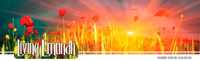 Living-Emunah---Shake-Them-Off