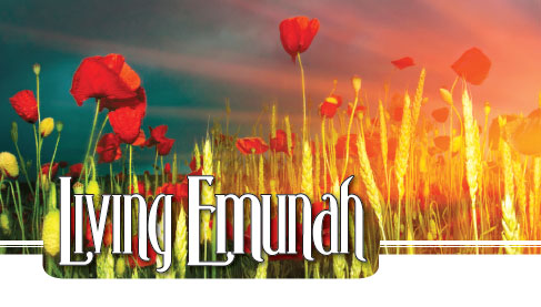 Living Emunah – I Can’t Believe I Did This